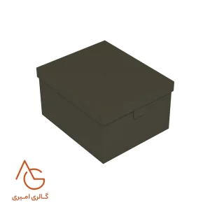 باکس چرمی داخل کمد لباس کد WSL6.260، WSL6.130